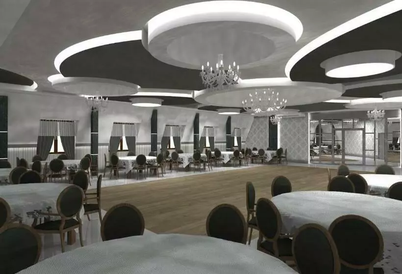 Hotelli I Restauracja Borowianka