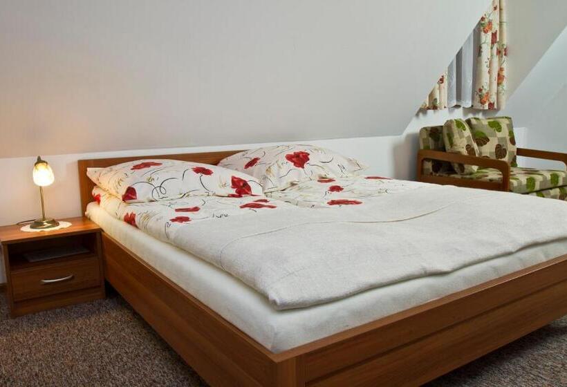 پانسیون Willa Bystra