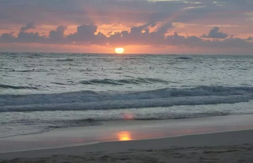 تختخواب و صبحانه Willa Drako