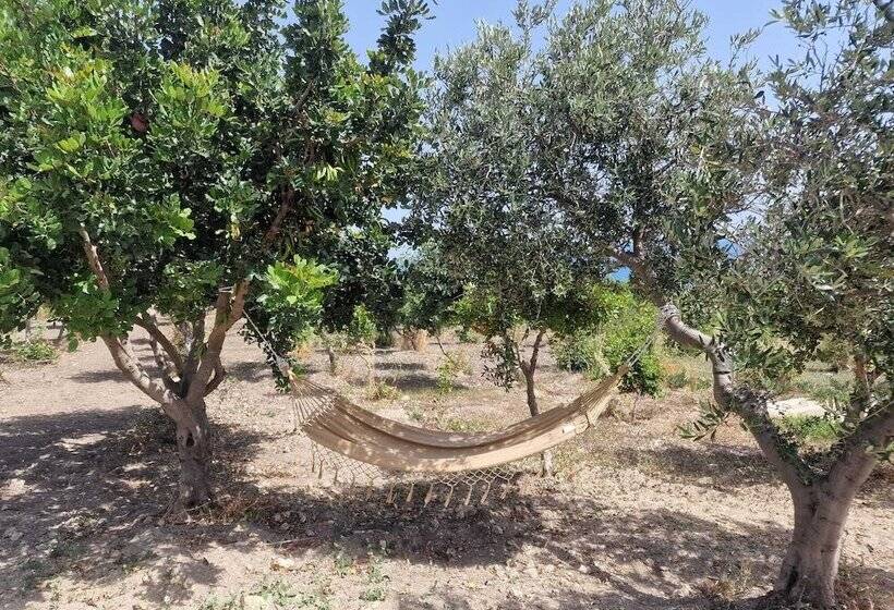 ホテル Tendu  Punta Bianca Glamping Camp