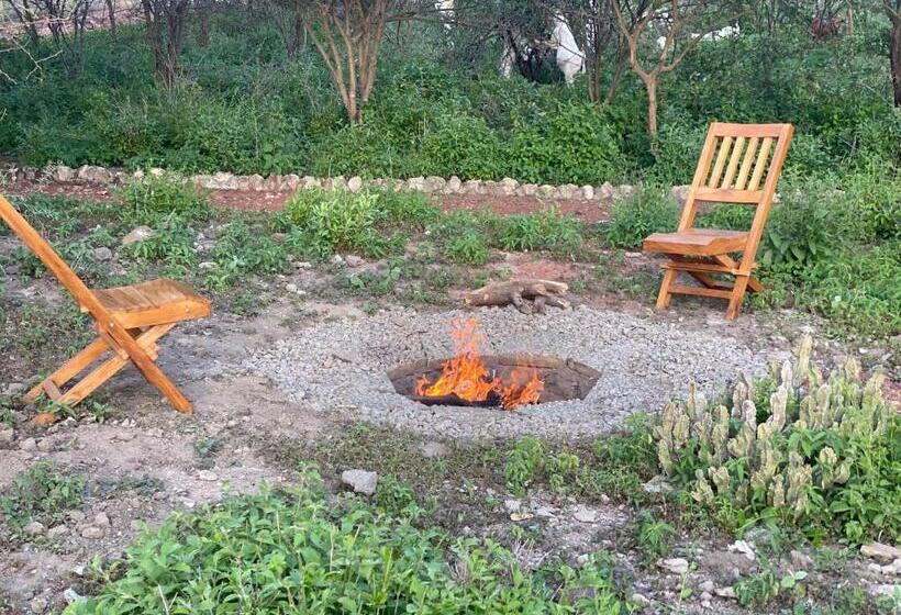 ベッドアンドブレックファースト Mwi Village House