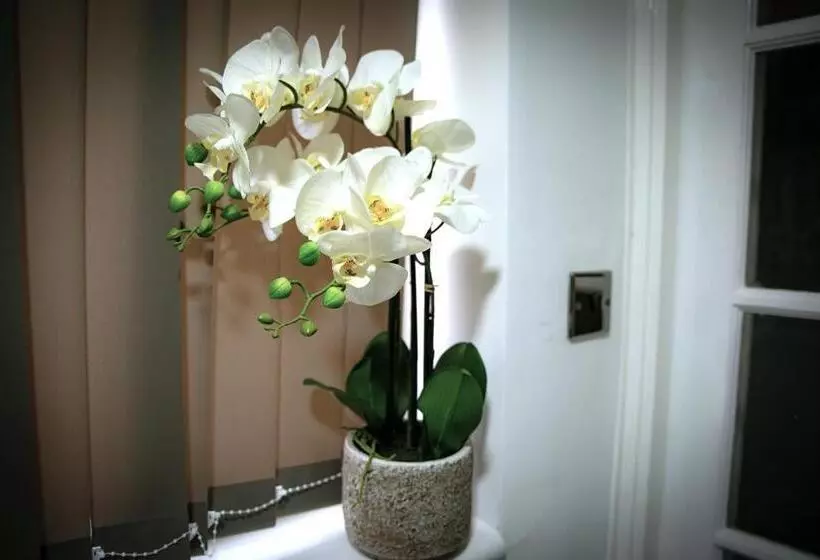 Majatalo Rostron House