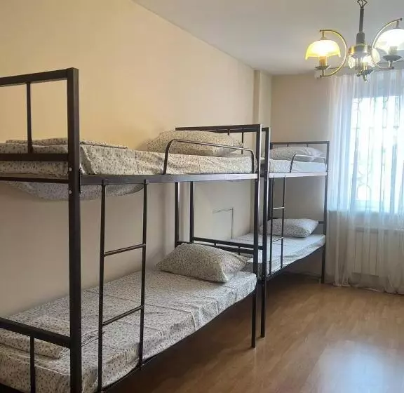 Traveler Hostel