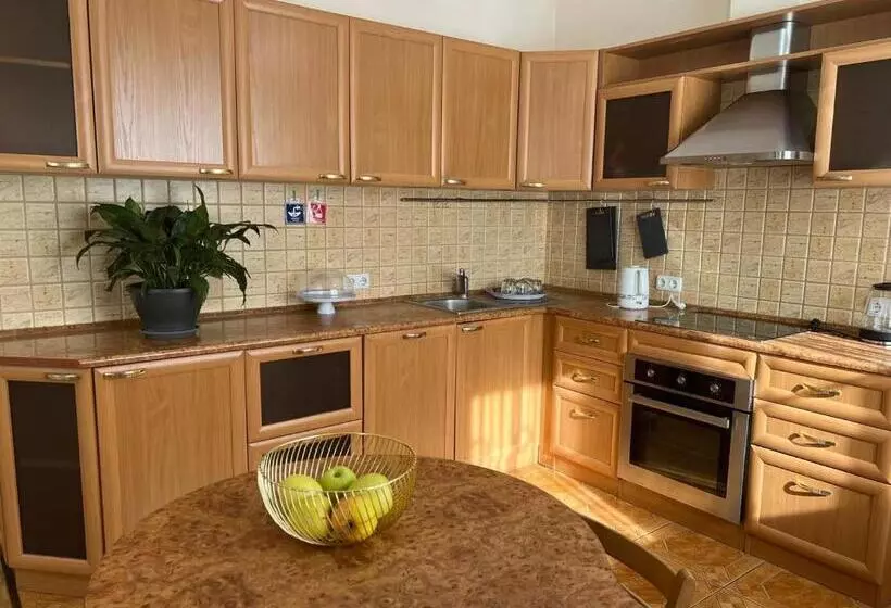 Traveler Hostel