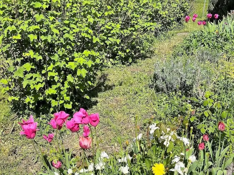 ベッドアンドブレックファースト Villa Mai