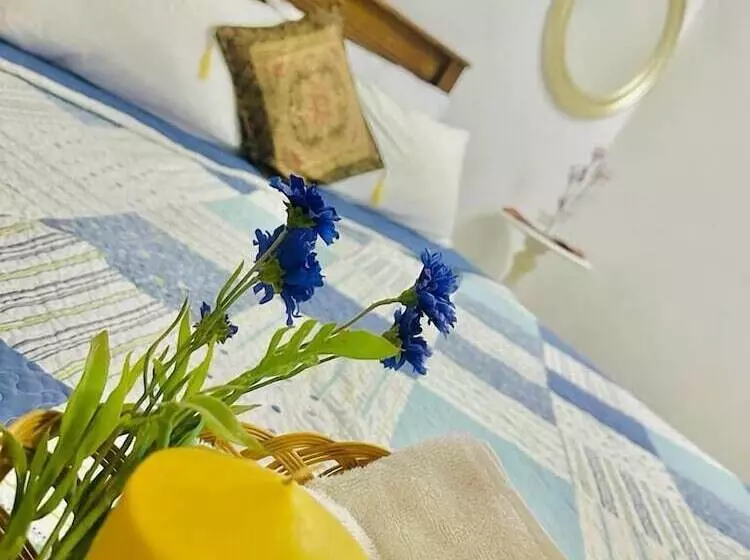 ペンション Sea Breeze Guest House Negombo