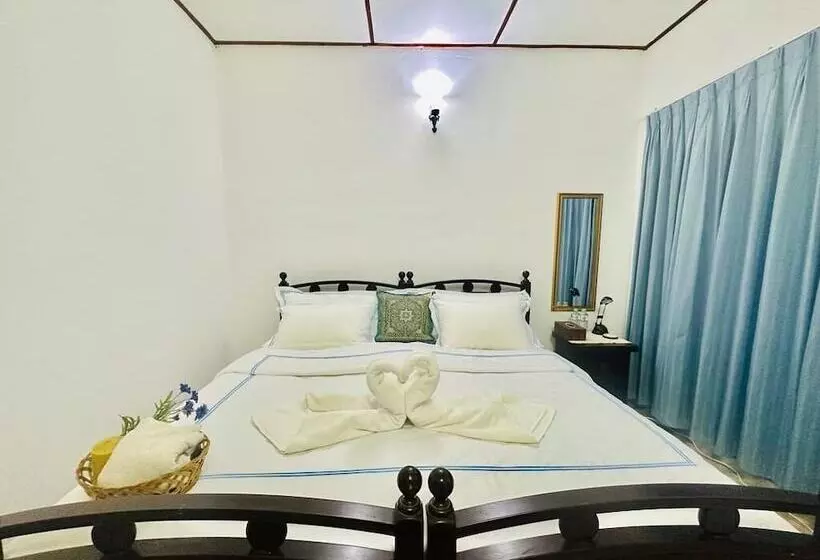 ペンション Sea Breeze Guest House Negombo