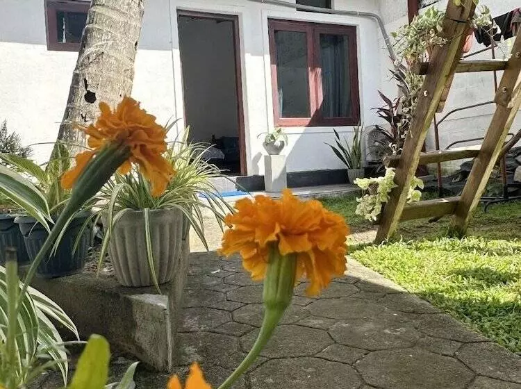 ペンション Sea Breeze Guest House Negombo