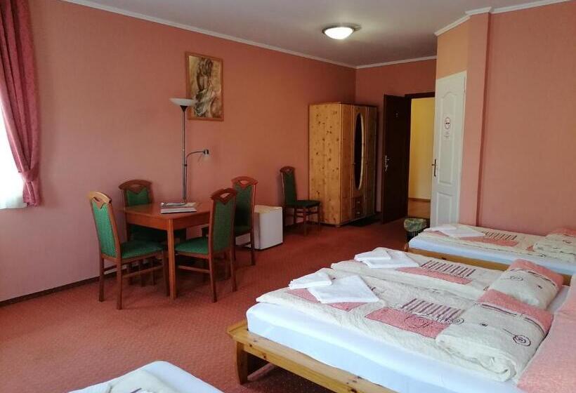 مبيت وإفطار Medgyaszay Panzió