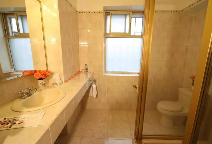 City Art Hotel Silberstein
