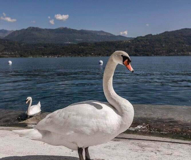 Lago Maggiore Bay