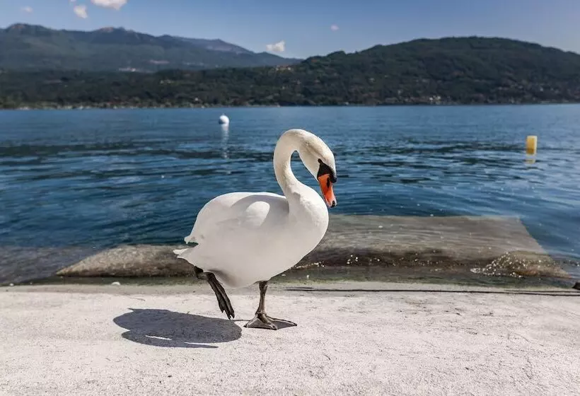 Lago Maggiore Bay