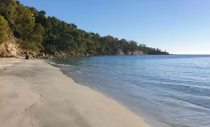 ペンション Chambre Indépendante Avec Jardin Privatif