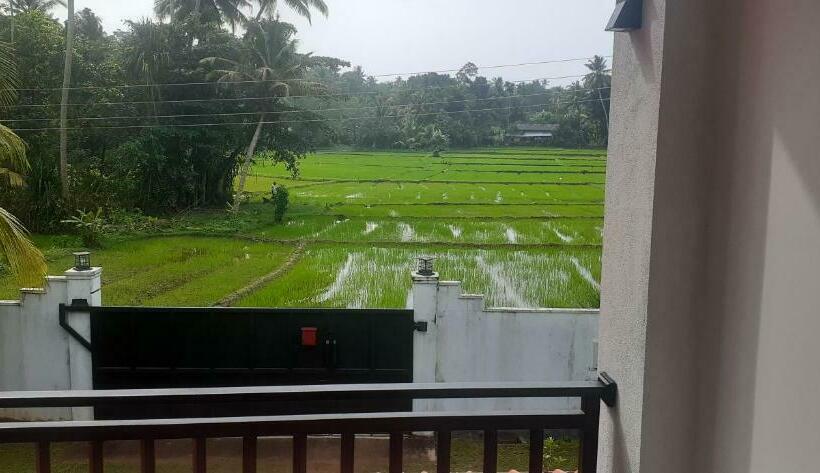 膳宿费 Paddy Villa