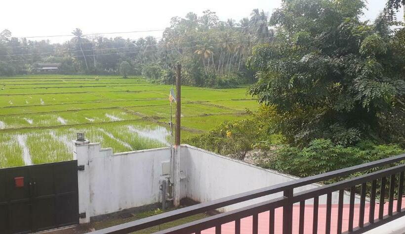 膳宿费 Paddy Villa