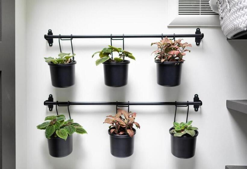 پانسیون The Cozy Yellow Cottage In Dilworth