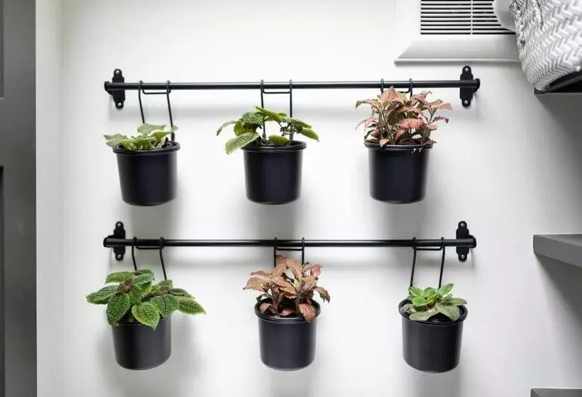 ペンション The Cozy Yellow Cottage In Dilworth