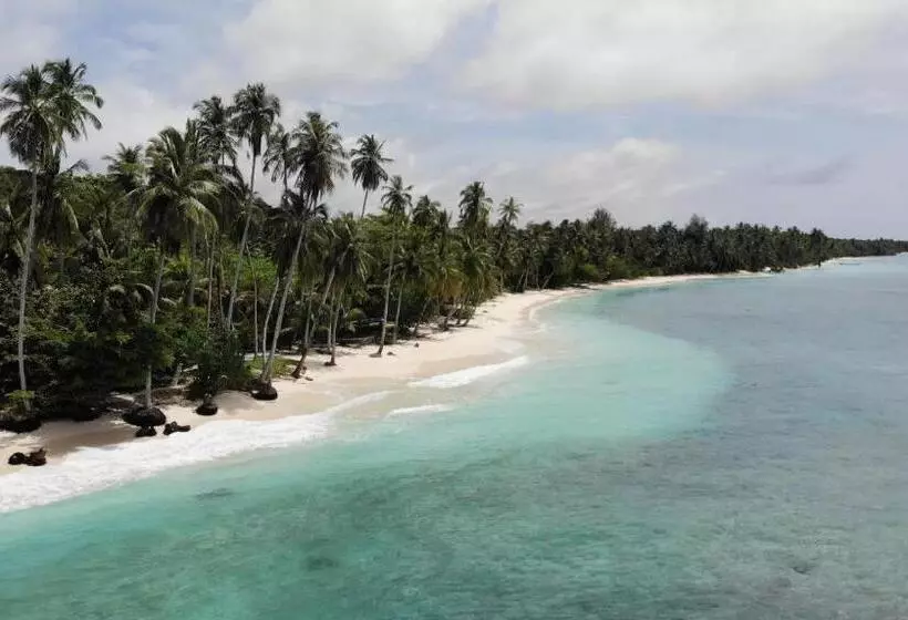 Lomakeskus La Belle Hollow Trees