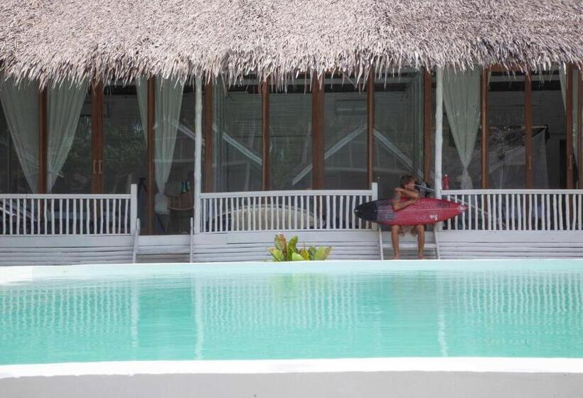 אתר נופש La Belle Hollow Trees