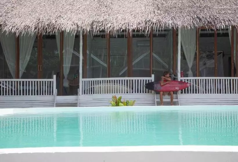 Lomakeskus La Belle Hollow Trees