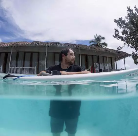 Lomakeskus La Belle Hollow Trees
