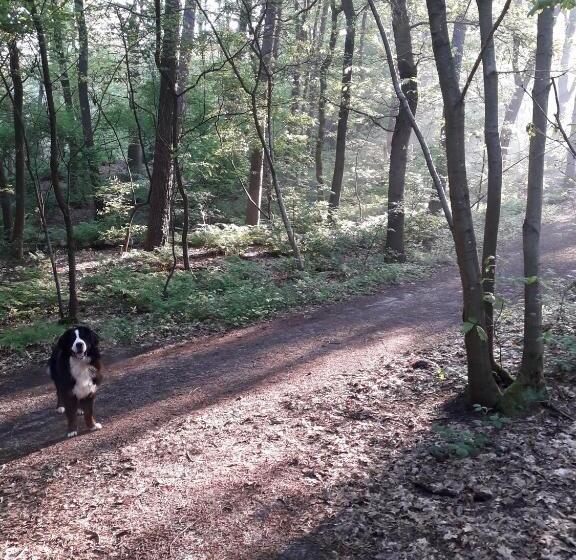 Vakantiehuisje B&b De Kleine Voskuil