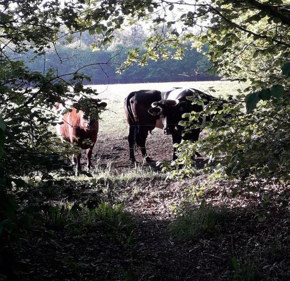 Vakantiehuisje B&b De Kleine Voskuil