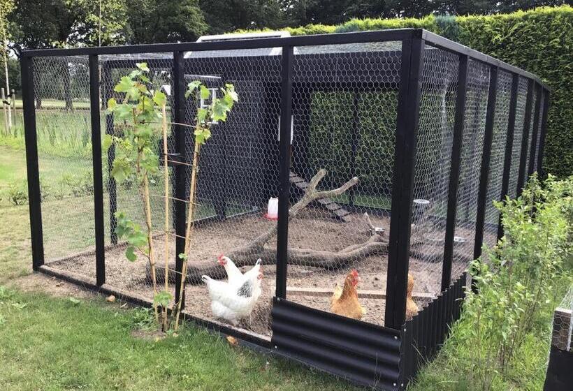 Vakantiehuisje B&b De Kleine Voskuil