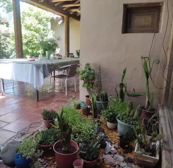 Aamiaismajoitus (B&B) Alojamiento Tranquilo Con Hermoso Jardín, Cercano A Viña Concha Y Toro