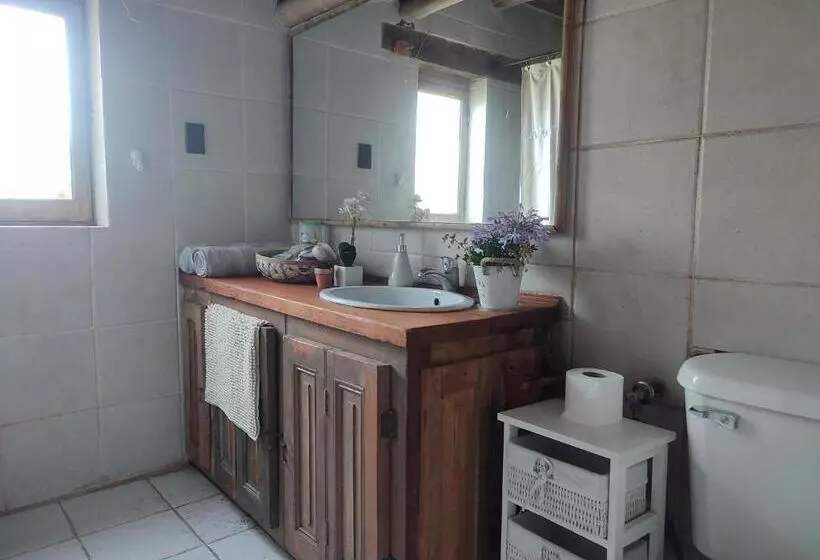 Aamiaismajoitus (B&B) Alojamiento Tranquilo Con Hermoso Jardín, Cercano A Viña Concha Y Toro