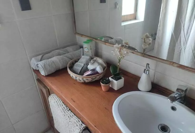 Aamiaismajoitus (B&B) Alojamiento Tranquilo Con Hermoso Jardín, Cercano A Viña Concha Y Toro