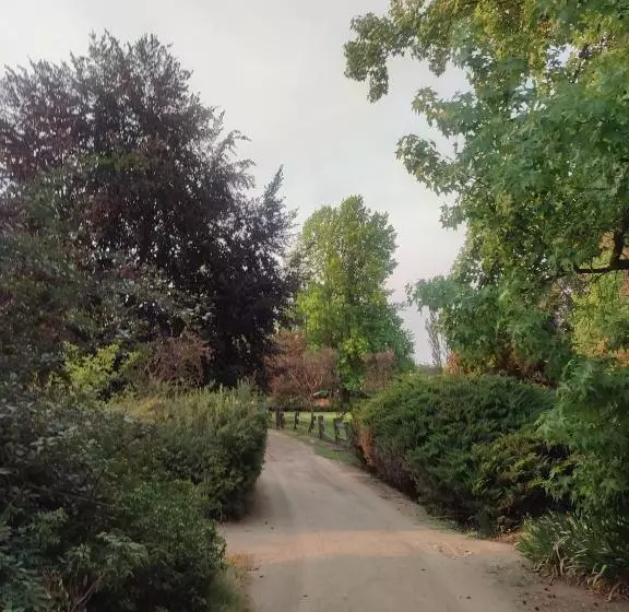 Aamiaismajoitus (B&B) Alojamiento Tranquilo Con Hermoso Jardín, Cercano A Viña Concha Y Toro