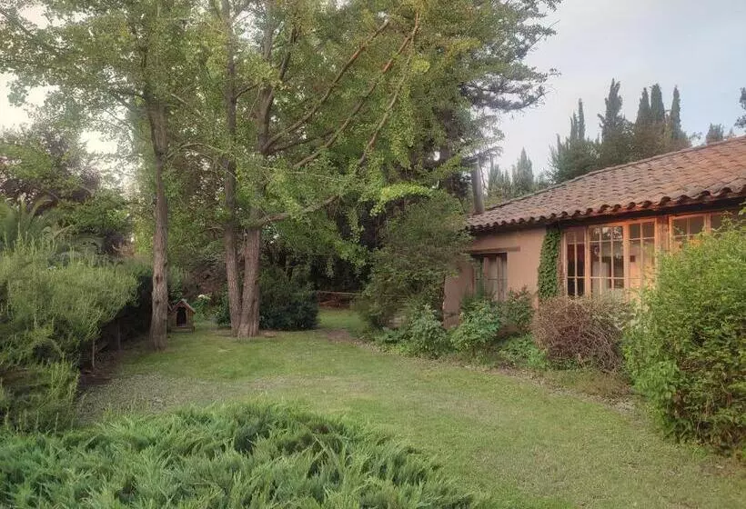 Aamiaismajoitus (B&B) Alojamiento Tranquilo Con Hermoso Jardín, Cercano A Viña Concha Y Toro