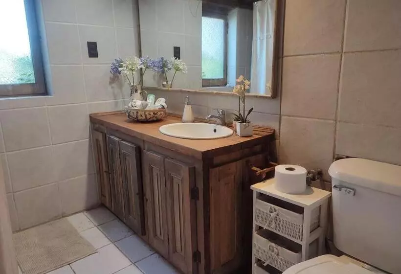 Aamiaismajoitus (B&B) Alojamiento Tranquilo Con Hermoso Jardín, Cercano A Viña Concha Y Toro