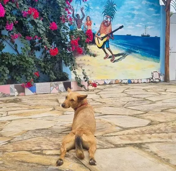 Aamiaismajoitus (B&B) Pineapple House