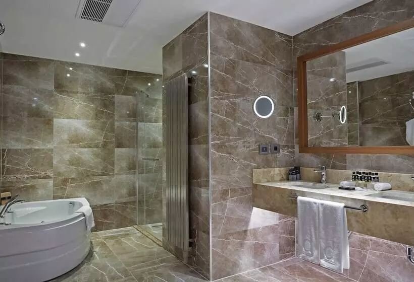 هتل Dedeman Kayseri
