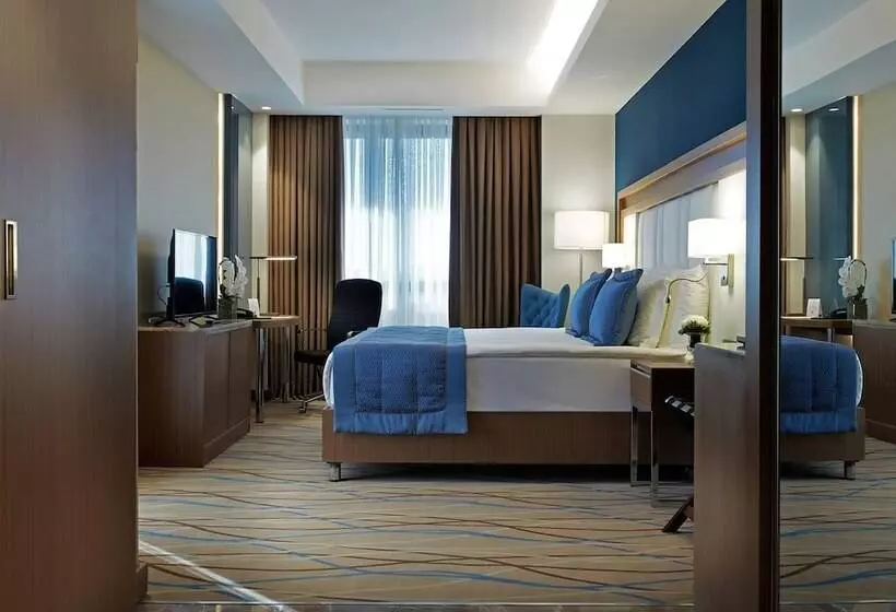 هتل Dedeman Kayseri