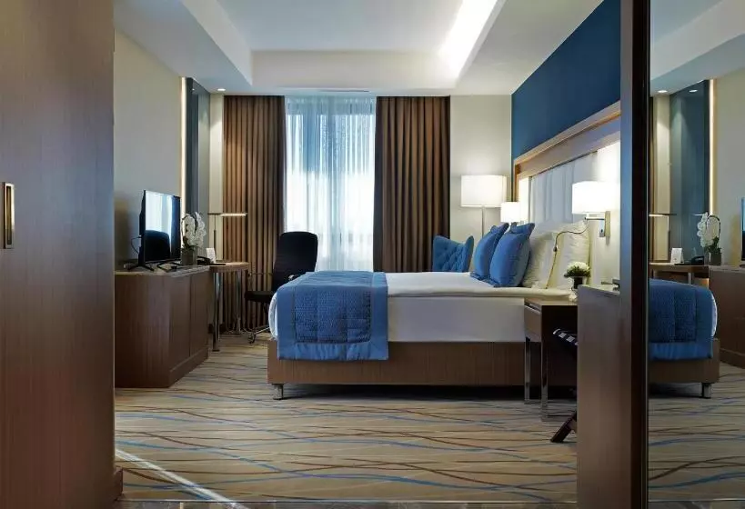 هتل Dedeman Kayseri