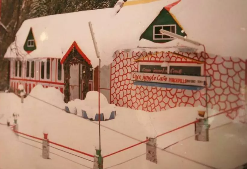 Paradise Hotel Dalhousie