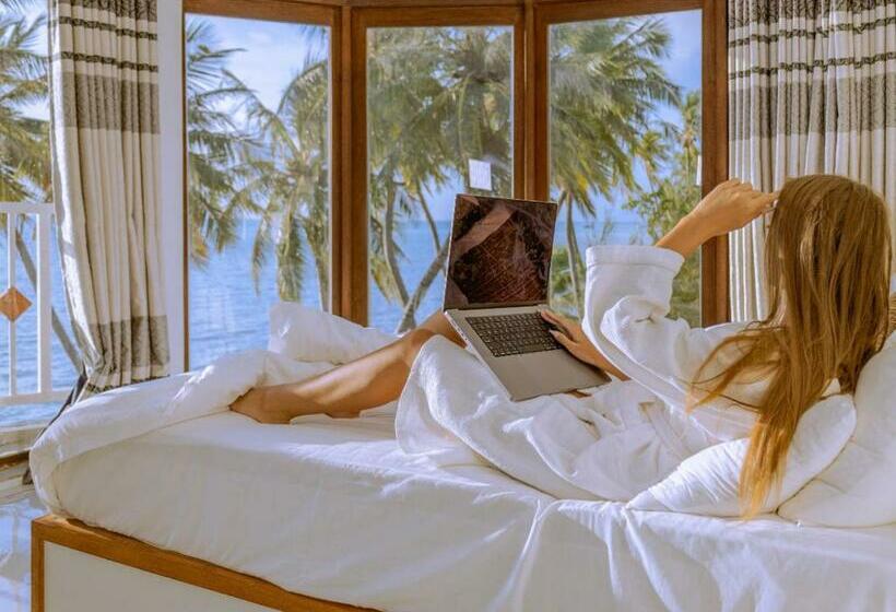 پانسیون Heron Beach Hotel   The Best Maldivian Getaway In Dhiffushi,maldives