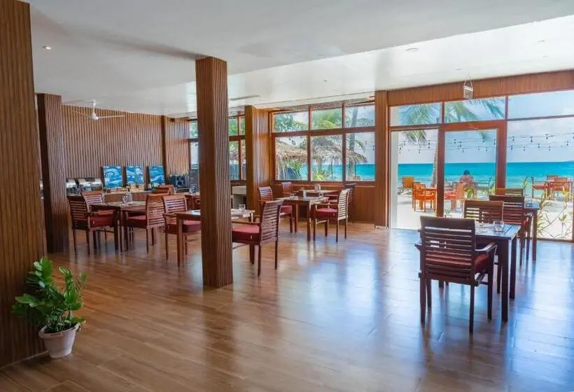 پانسیون Heron Beach Hotel   The Best Maldivian Getaway In Dhiffushi,maldives