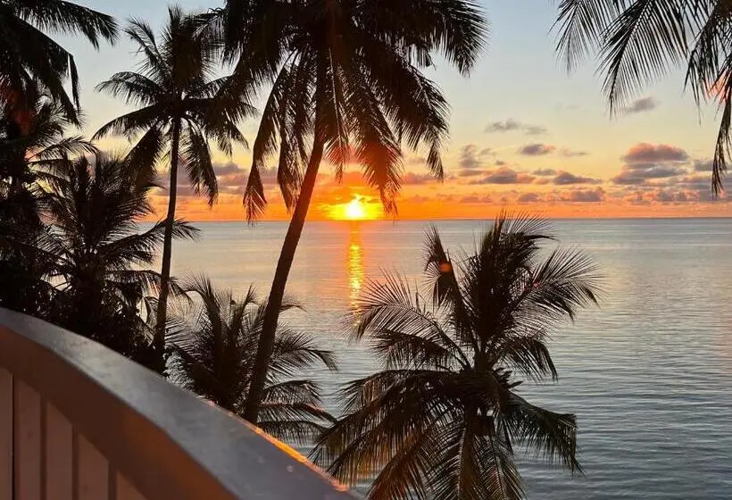 پانسیون Heron Beach Hotel   The Best Maldivian Getaway In Dhiffushi,maldives