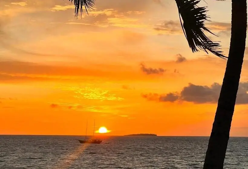 پانسیون Heron Beach Hotel   The Best Maldivian Getaway In Dhiffushi,maldives