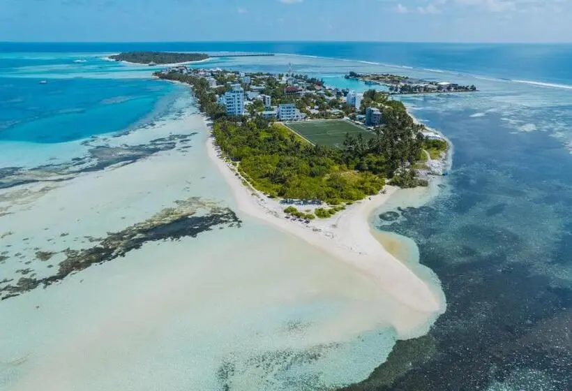 پانسیون Heron Beach Hotel   The Best Maldivian Getaway In Dhiffushi,maldives