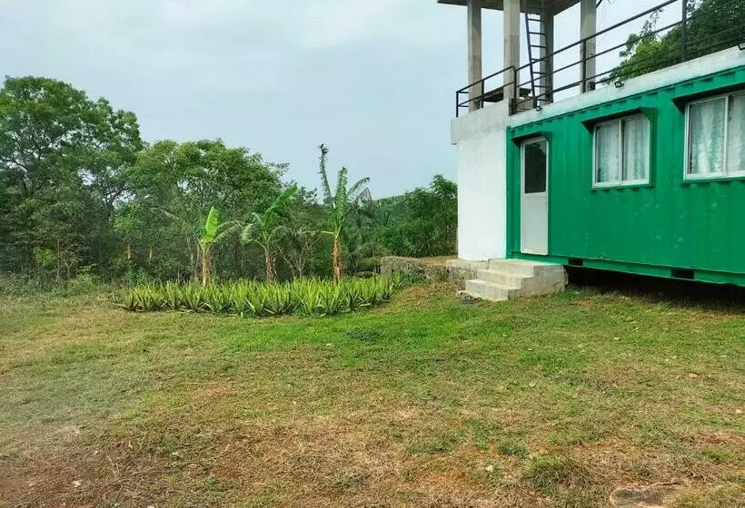 ペンション Wild Wind Safari And Holiday Resort