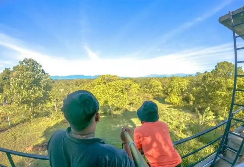 ペンション Wild Wind Safari And Holiday Resort
