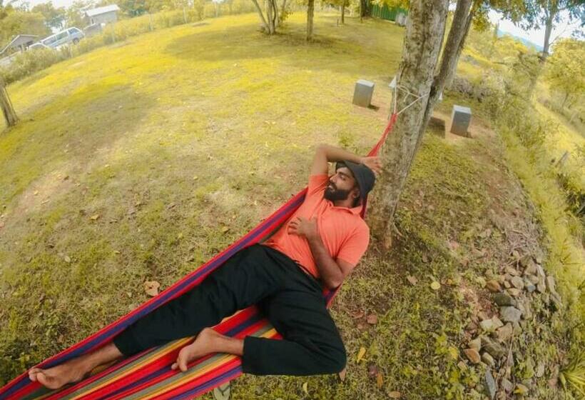 Pensionat Wild Wind Safari And Holiday Resort