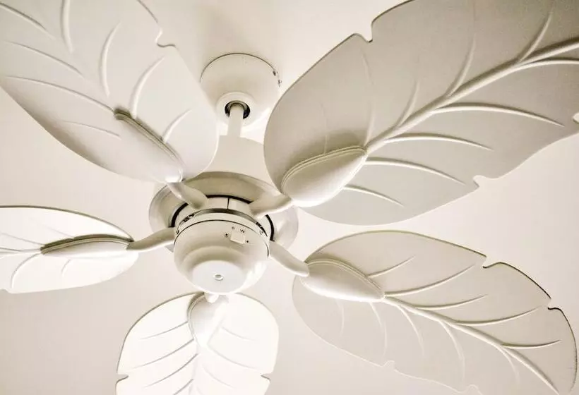 צימר Cove Studios