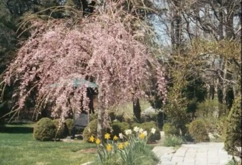 민박 Tidewater Inn