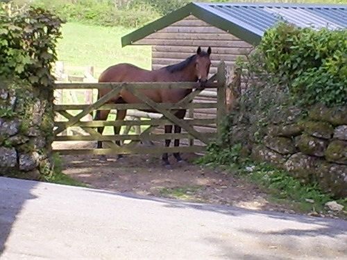 Отель Lowertown Farm B&b